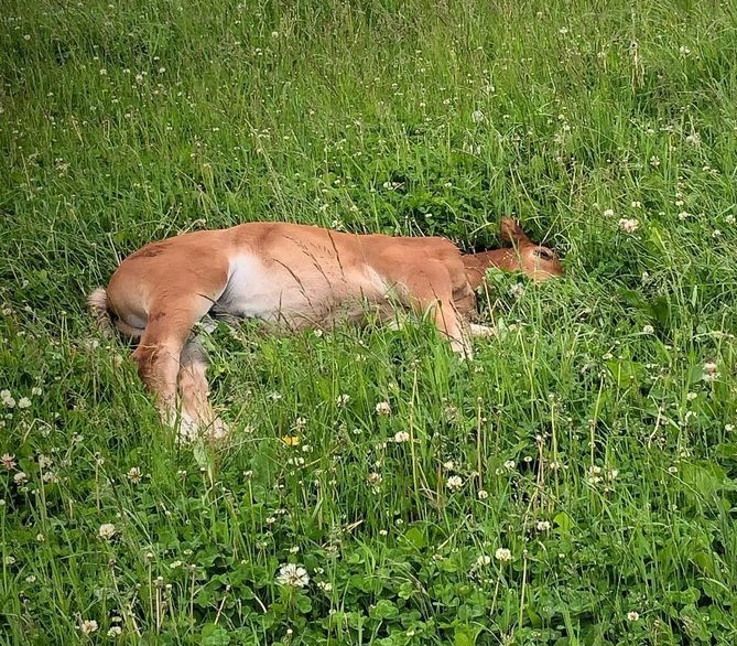 Heinäkuu Satula.comissa